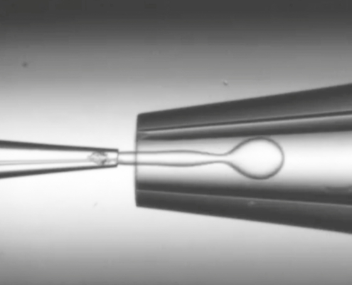 Mikrofluidik Experiment