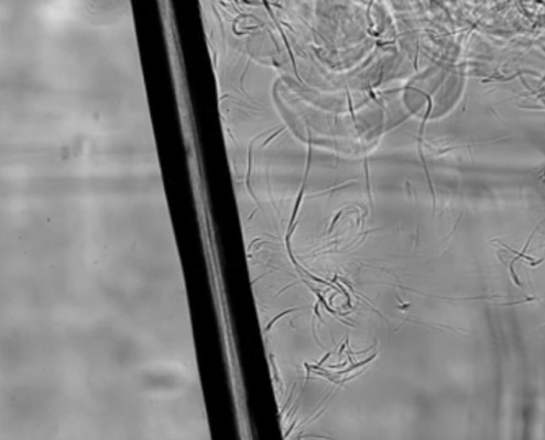 Schlieren experiment